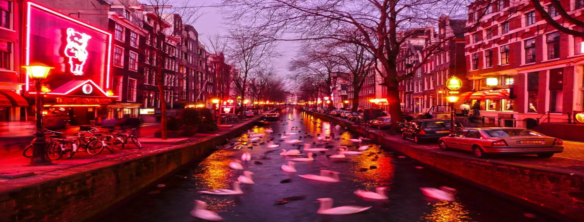 Image for Red Light District